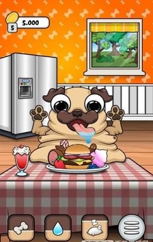 我的寵物狗狗帕格