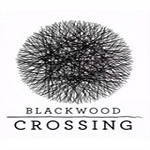 黑木交叉 中文版 