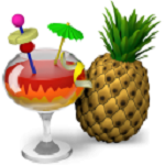 免費(fèi)視頻轉(zhuǎn)換器(handbrake) v0.10.5 中文版 