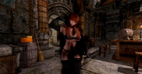 上古卷軸5精靈弓箭手和紅眼狂戰(zhàn)士美女隨從MOD