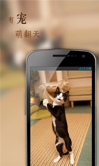 花瓣網(wǎng)app v4.1.4 安卓版圖2