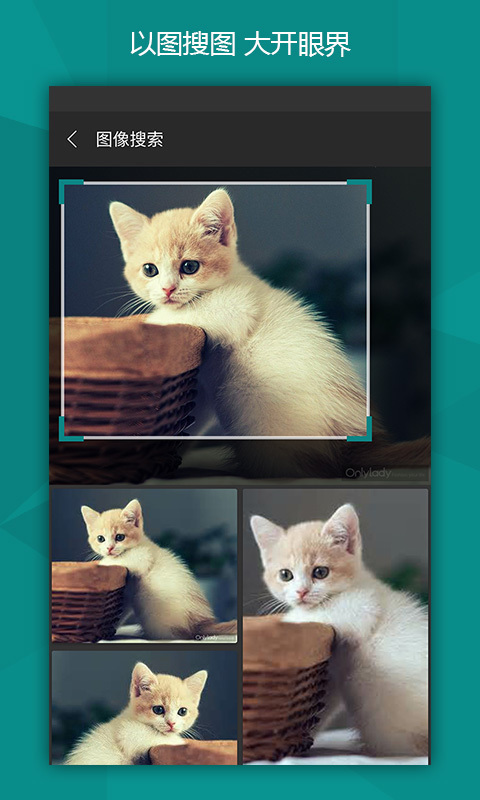 微軟必應(yīng)官方下載 v6.9.4 安卓版圖2