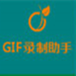 GIF錄制助手 v2.0 免費(fèi)版 