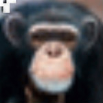 常青藤輔助工具系統(tǒng) 4.30 破解版 