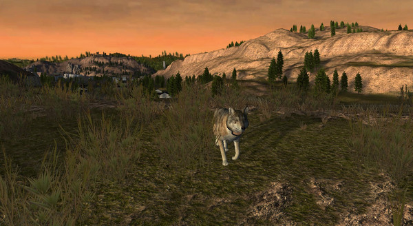 野狼謎蹤下載 2.7 PC中文版圖3