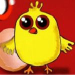 小雞嗶嗶原版及中文版打包下載 含歌詞 