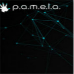 帕梅拉游戲下載 單機中文版 