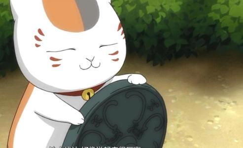 貓咪老師表情包