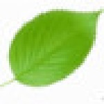 傳真軟件(UFax2) v2.1 官方免費版 