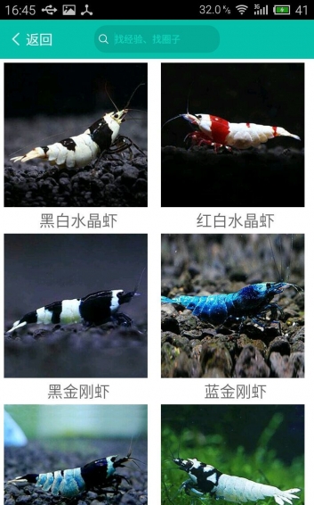 泡泡水族app v1.6.7 手機(jī)版圖4