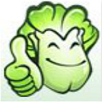 大白菜pe裝機(jī)工具 官方免費(fèi)版 