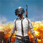 絕地求生DVA語(yǔ)音包 免費(fèi)版 