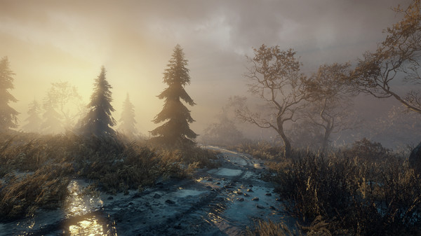 ShadowSide 中文版