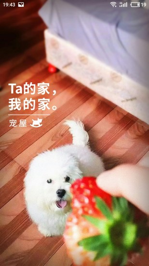 寵屋app v1.3.2 安卓版圖4