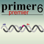 Primer Premier引物設(shè)計程序 v6.1 中文版 