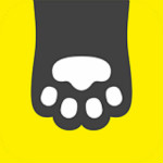 隨手抓娃娃下載 v1.1.0 安卓版 