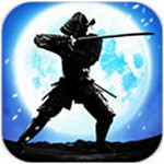 街頭戰(zhàn)斗 v5.1 安卓版 