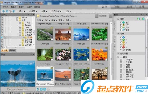 ACDSee12 中文破解版圖1