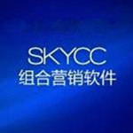 文章偽原創(chuàng)工具(skycc) v1.0 官方版 