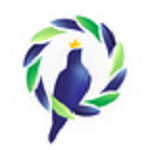 鴿羽林 v2.0.0.20180403 安卓版 