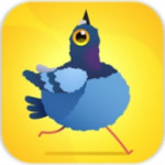 鴿子敲擊手游 v1.2.0 安卓版 