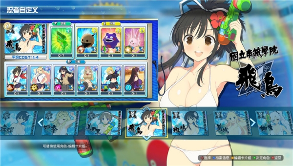 閃亂神樂(lè)沙灘戲水pc版