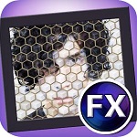 Kyoobik Photo照片制作軟件 v1.32 官方版 