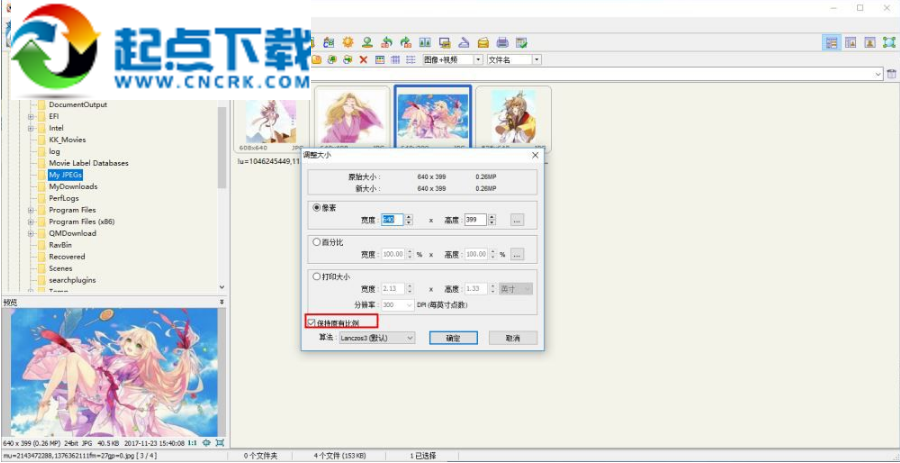 faststone image viewer