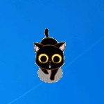 桌面小貓軟件 v1.0 免費綠色版 