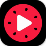 頭條視頻下載軟件 v0.5.1.5 免費(fèi)版 