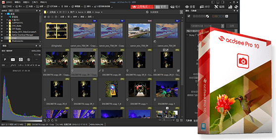 ACDSee Pro 10 中文破解版
