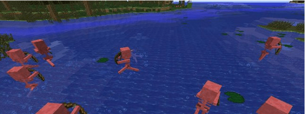 我的世界怕水骷髏MOD