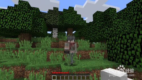 我的世界中文版