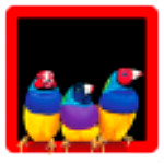 ViewSonic ViewSplit(優(yōu)派分屏軟件) V1.0.0 官方版 