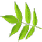 x2m decoder(x2m文件解密工具) v1.0.1 免費版 