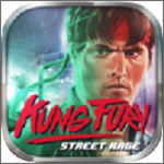 功夫之怒手游 v1.26 安卓版 