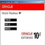oracle 10g客戶端下載 綠色免費版 