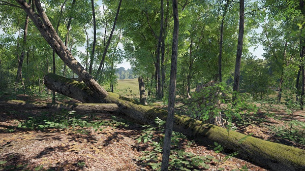 叢林地獄中文版