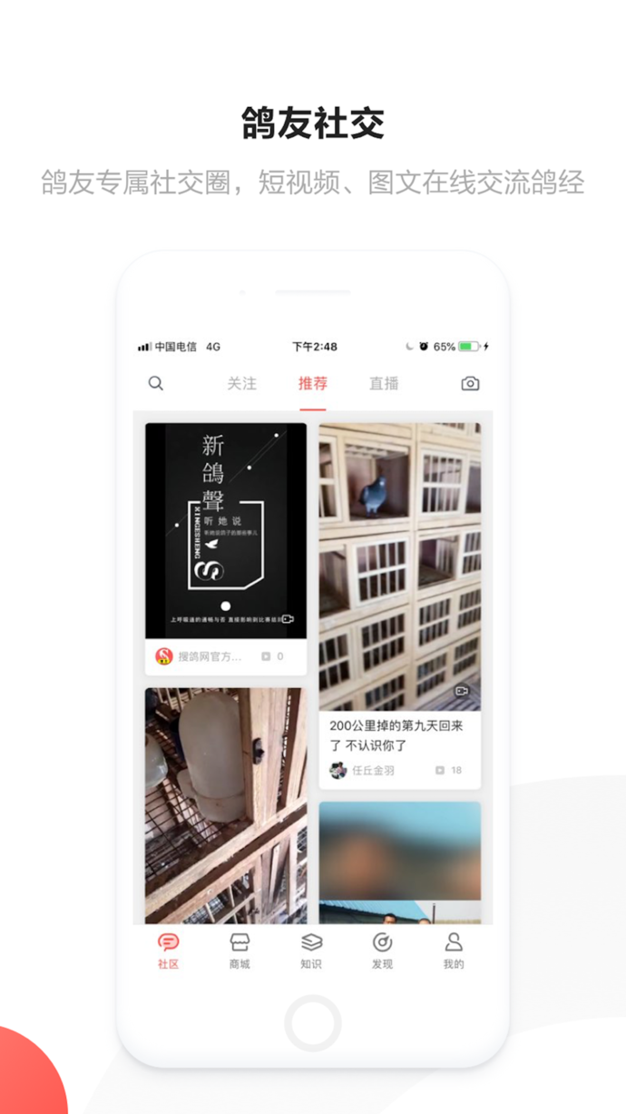搜鴿網(wǎng) v1.3.4 ios版圖4