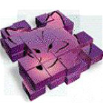 visual foxpro v6.0 簡體中文版 