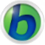 BabyIon(多語言翻譯工具) v0.0.29 官方版 