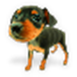 XCLWinKits(windows軟件工具箱) v1.4.5 官方版 