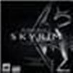 上古卷軸5重制版身臨其境的蜜蜂MOD 免費版 