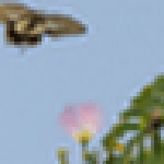 蝴蝶識字 v2.0 免費(fèi)版 