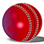 打板球手游(HitCricket) v1.1 安卓版 