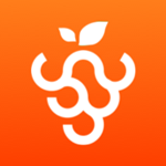 葡萄多 v1.1 手機(jī)版 