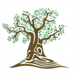 樹知道 v1.5 安卓版 