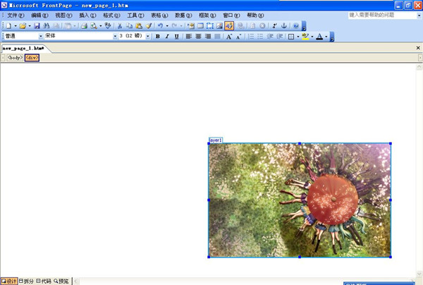 frontpage2003官方下載 免費版圖1
