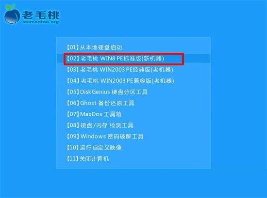 老挑毛u盤啟動(dòng)工具下載