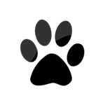 win10登陸背景修改工具 v1.2.1